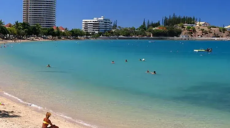 ニューカレドニアのお土産選びで大切なポイントは？