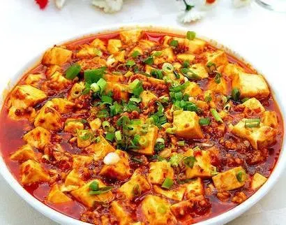 Ma Po Tofu(麻婆豆腐)