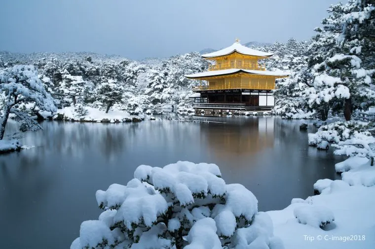 Tips for Weather in Japan in January