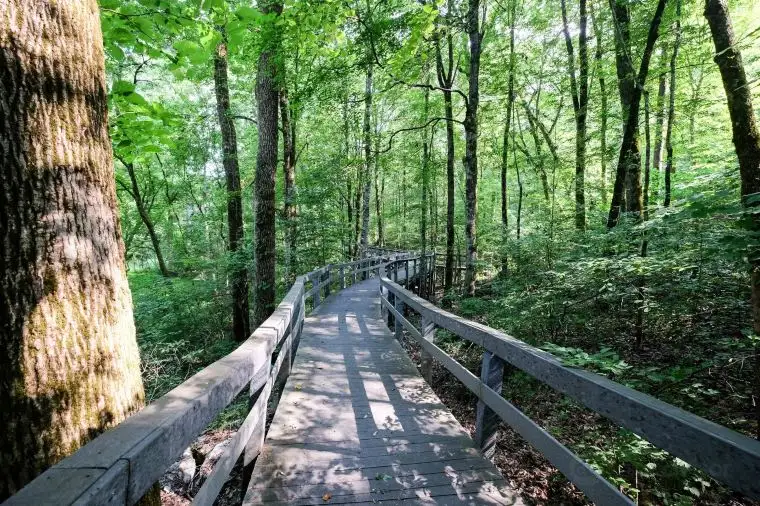 Russell Cave National Monument