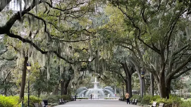 Forsyth Park