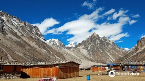 Tips for Traveling to Darjeeling