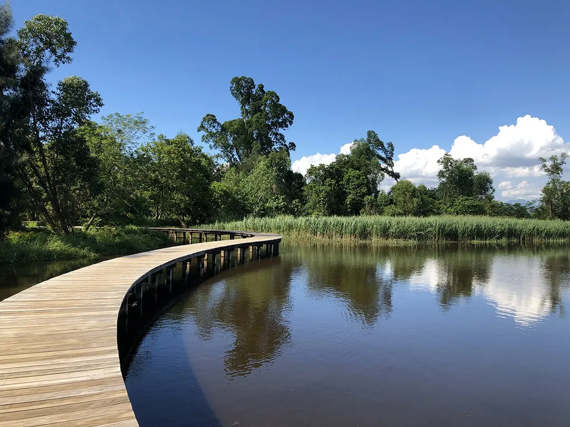 假日好去處｜香港濕地公園 — 世界級的生態旅遊區