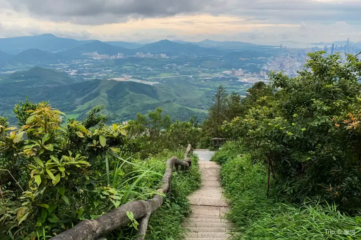 深圳地圖 | 梧桐山