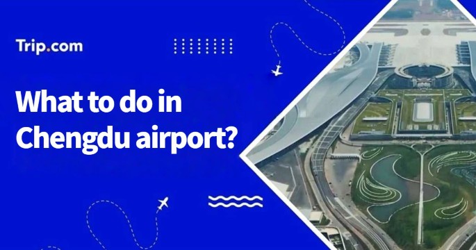 What to do in Chengdu airport during a layover?