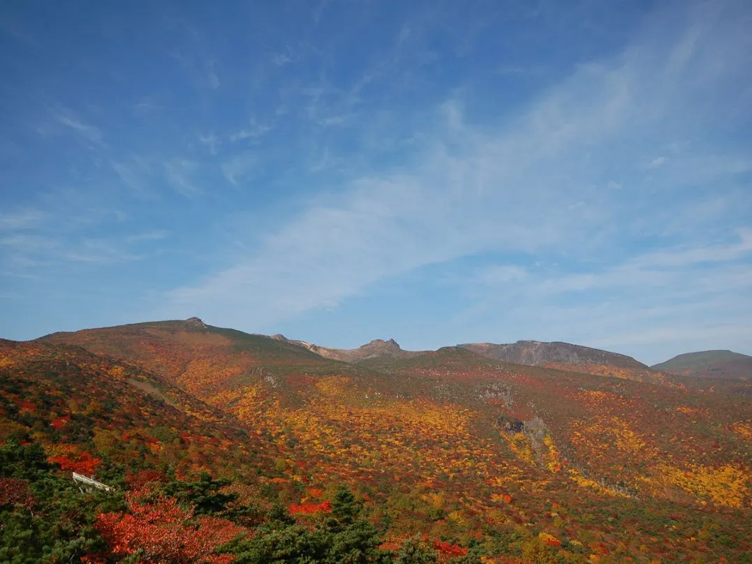 【土湯温泉】紅葉の見頃は10月中旬~11月上旬
