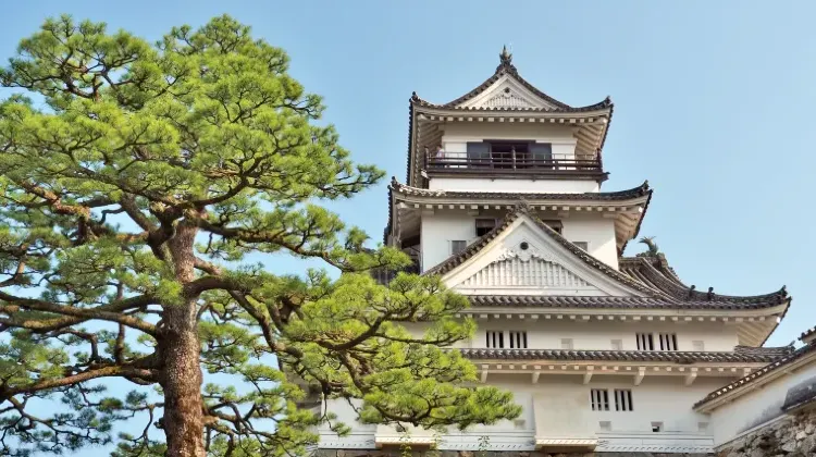 高知のお土産選びでよくある質問