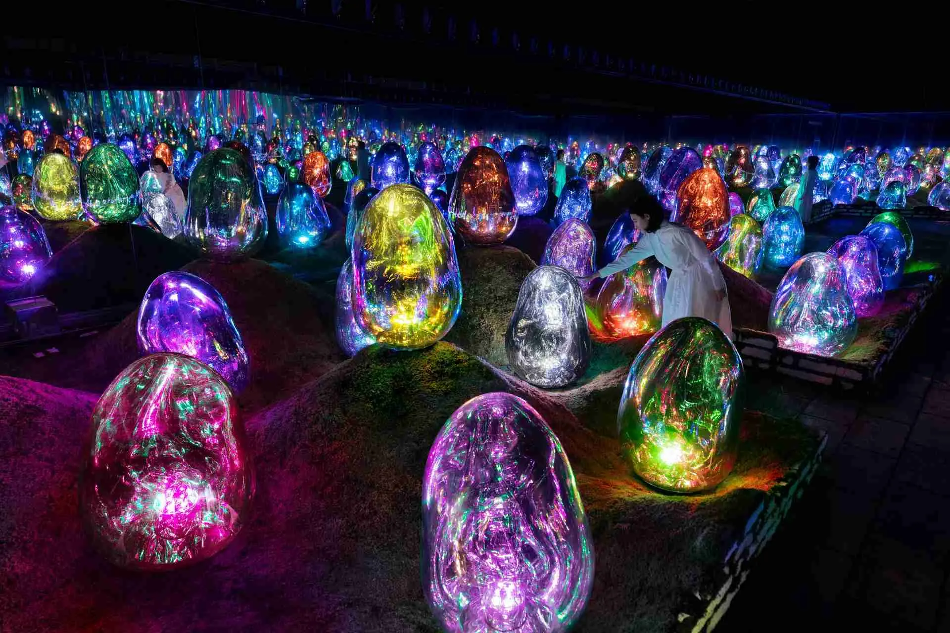 teamLab Planets TOKYO attractions: Garden