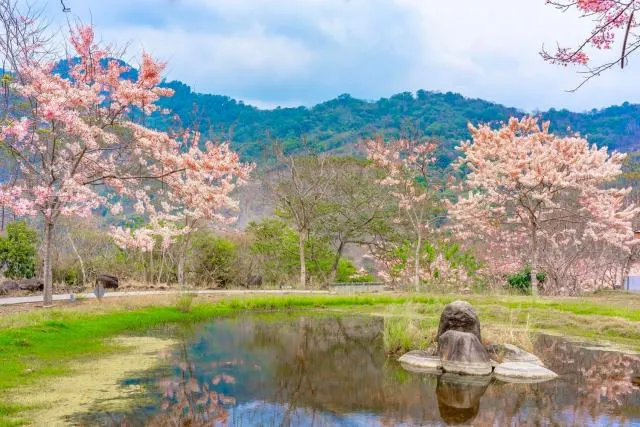 高雄春季景點