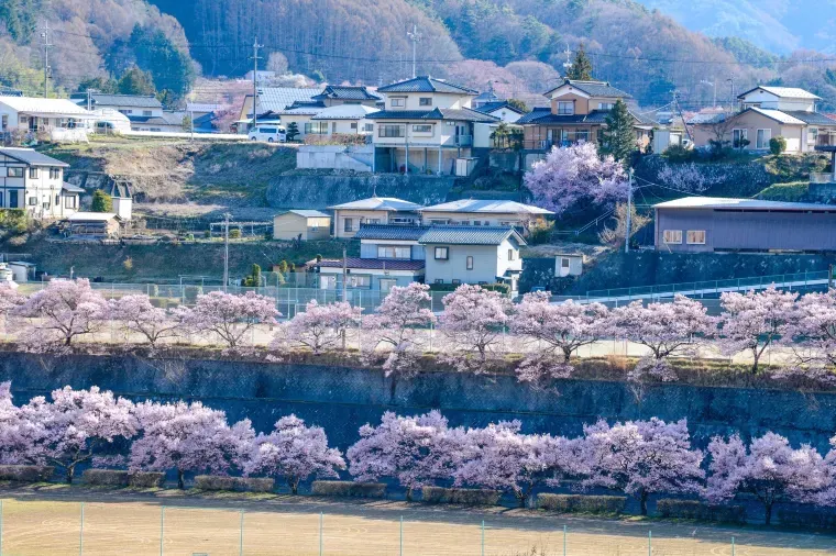 お土産選びで長野旅行はもっと楽しくなる!