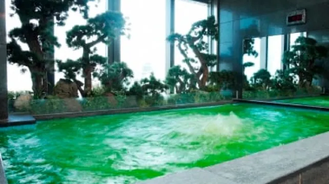 10.イビスアンバサダー明洞