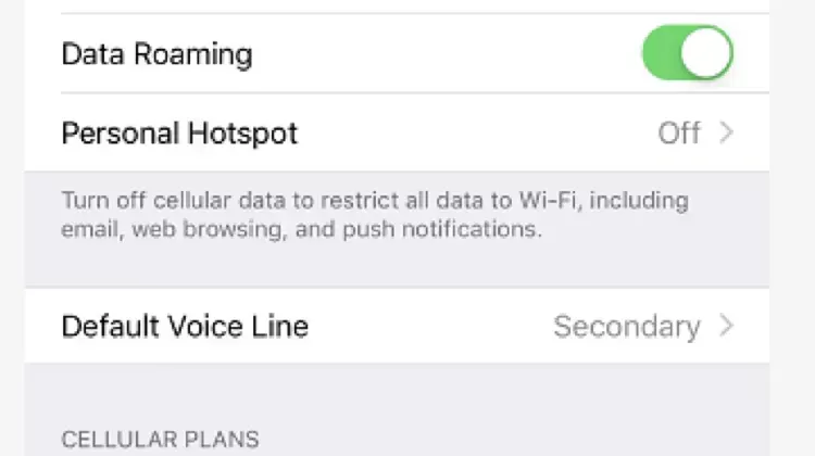 STEP 5: Turn on data roaming