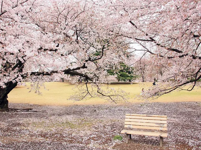 Shinjuku Gyoen National Garden