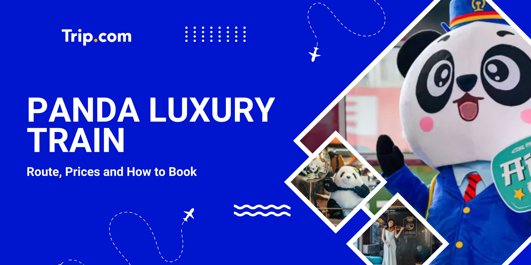 Panda Luxury Train China: Route, Prices and How to Book | Trip.com