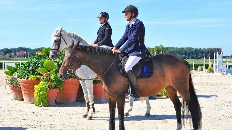 フランスの8月の気温