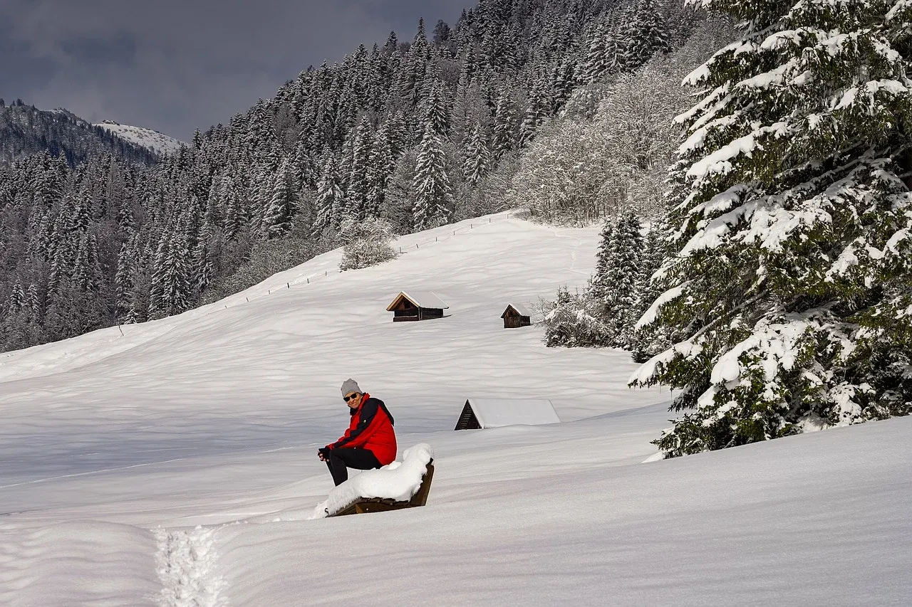 8月に行きたいニュージーランドのイベント3つ