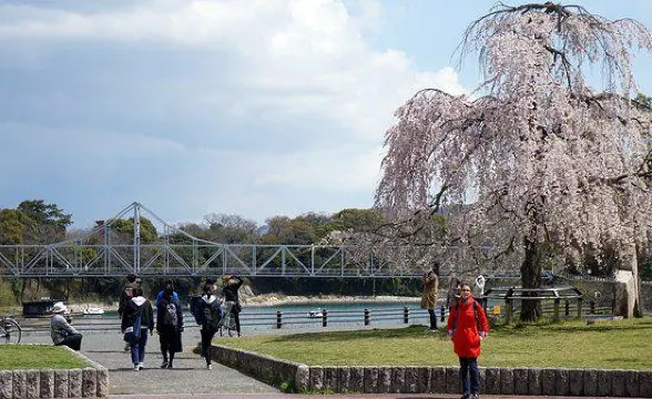 岡山のお土産を購入するのにおすすめの場所ベスト3