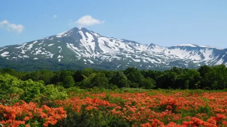 お土産選びで秋田旅行はもっと楽しくなる！