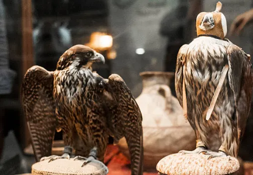 ตลาดนกเหยี่ยว 