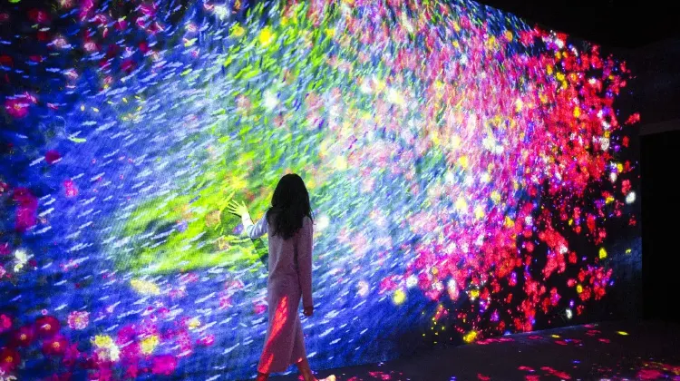 チームラボボーダレス