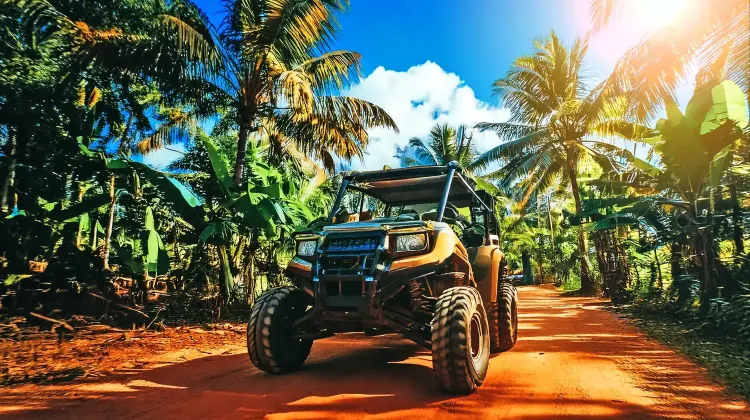 ジャングリア沖縄の基本情報