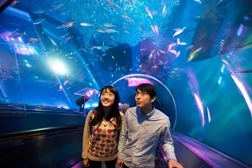 22 横浜 八景島シーパラダイスにお得に行こう 割引チケットをゲットするには Trip Comブログ