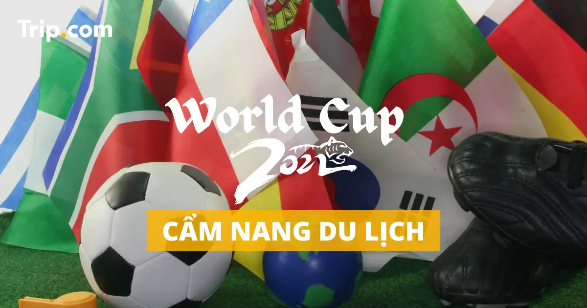Cẩm nang World Cup 2022