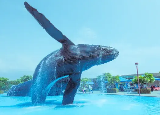 海洋生物博物館