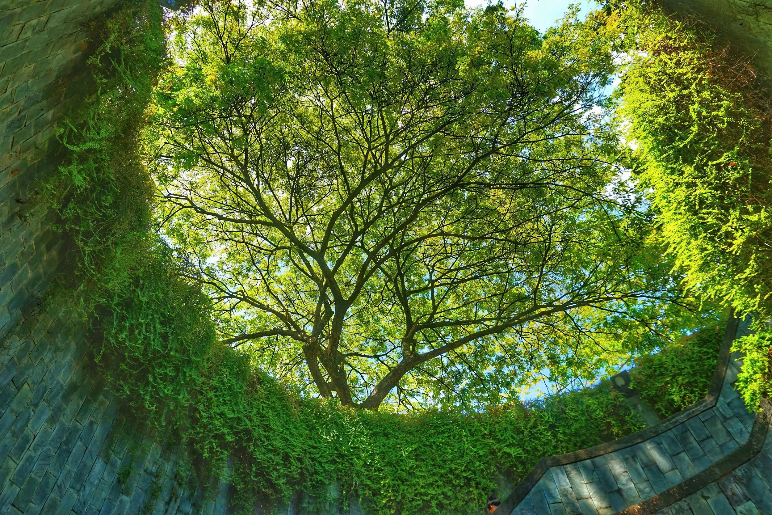 เที่ยวสิงคโปร์