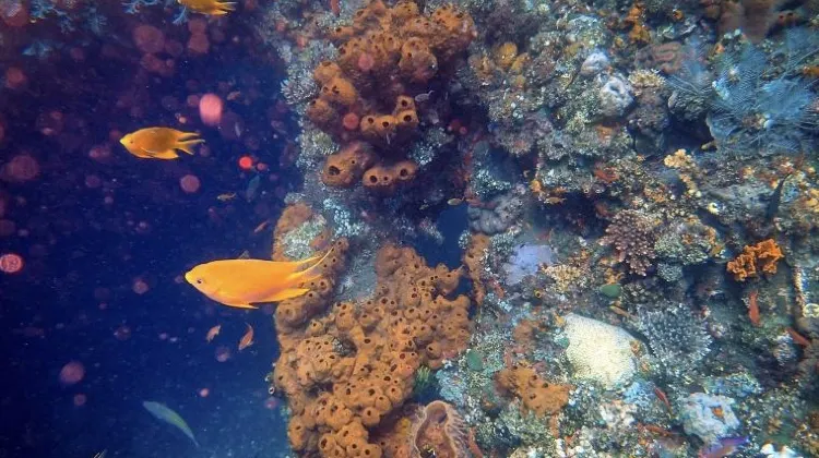 女子ひとり旅のバリ島旅行で注意するべき3つのこと