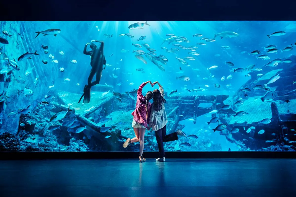 ซี อควาเรียม