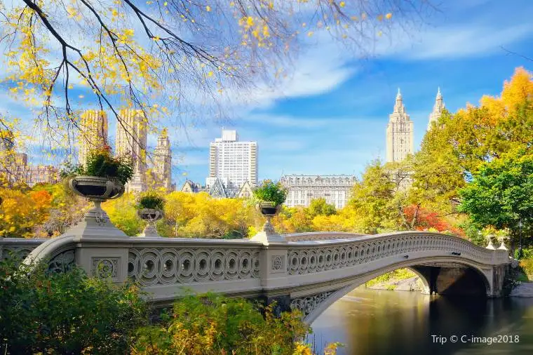 New York City Trip Cost and Trip Planning Essentials with Trip.com