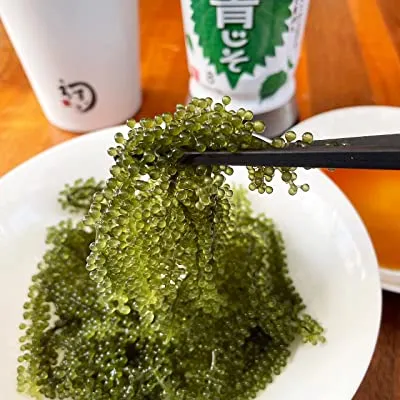 海ぶどう