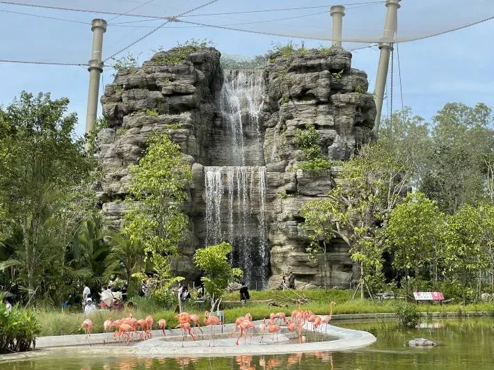 Best time to go to Bird Paradise