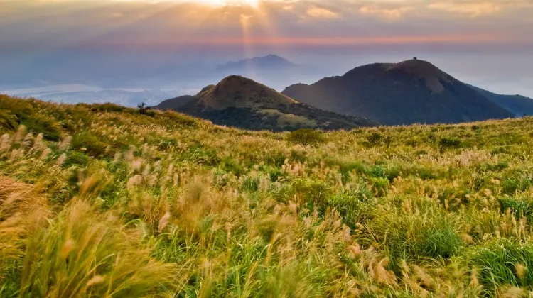 陽明山国家公園日帰りツアー