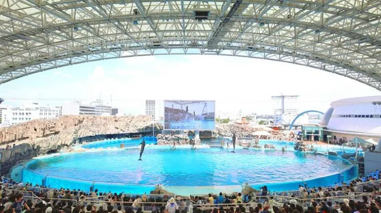 名古屋港水族館