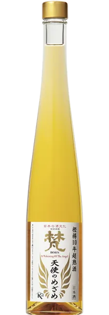 梵・天使のめざめ