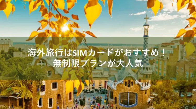 海外 SIMカード
