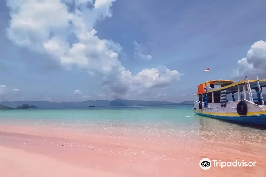 Things to do in Lombok: Pink Beach (Tangsi Beach)