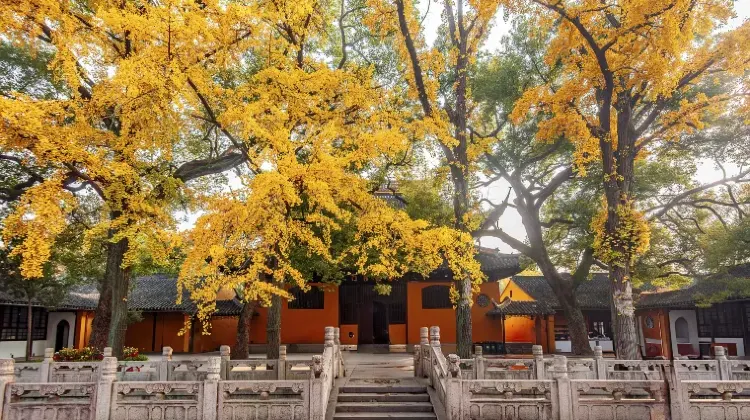 蘇州発着の高速鉄道予約ならTrip.comで！