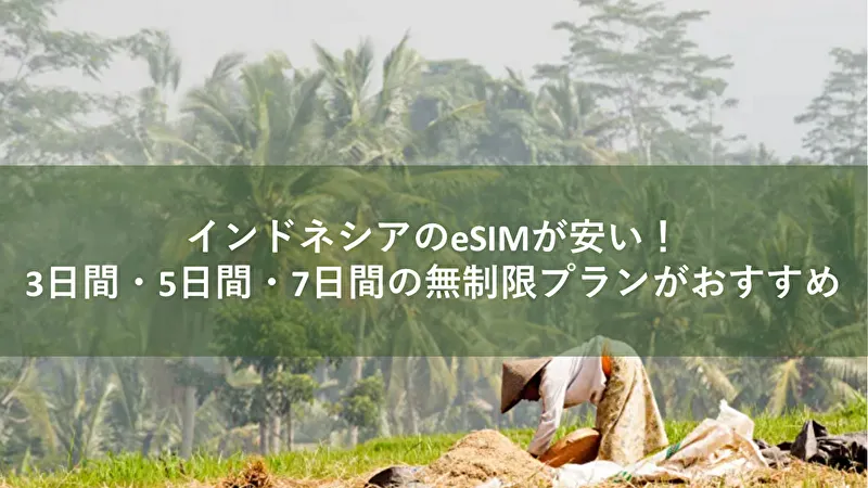 esim インドネシア