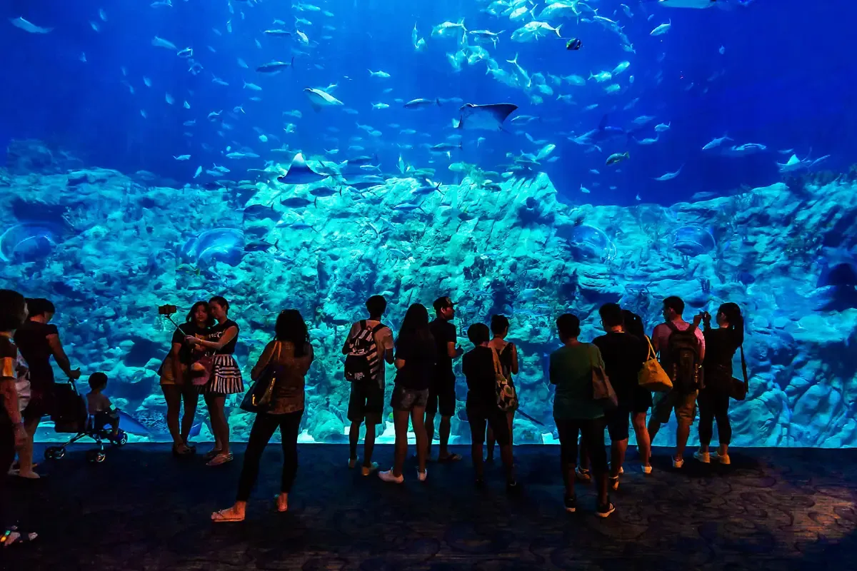 Ocean Park Hong Kong attractions