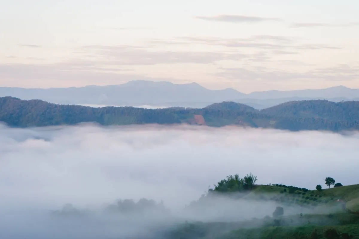 ที่เที่ยวเชียงราย#23 ดอยช้าง