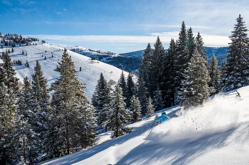 Back bowl of Vail Ski Resort