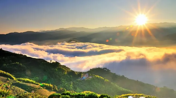 阿里山国家森林遊楽区