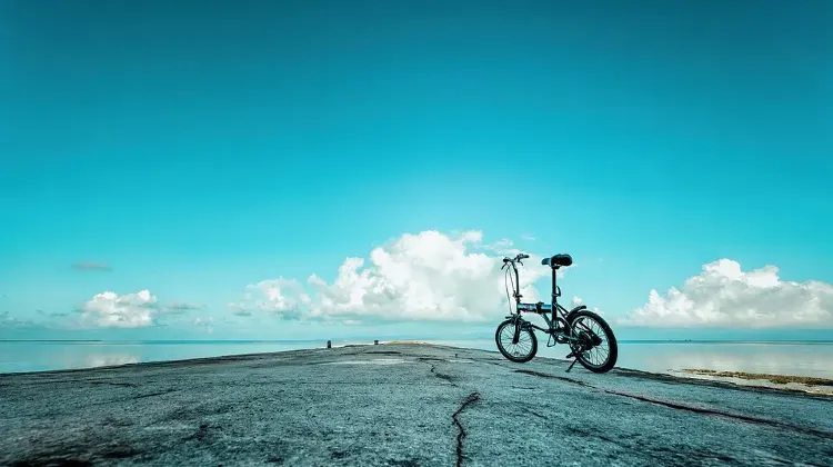 ジャングリア沖縄で注意したいポイント