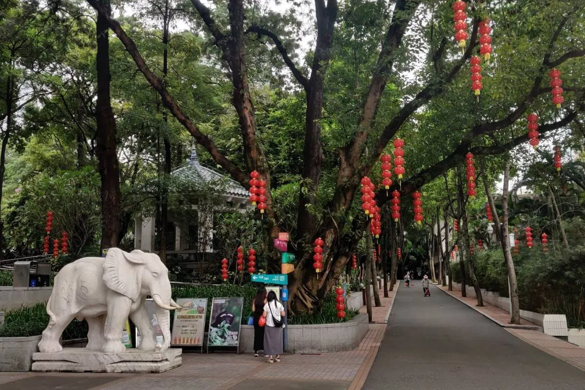 Best Time to Visit Guangzhou Zoo