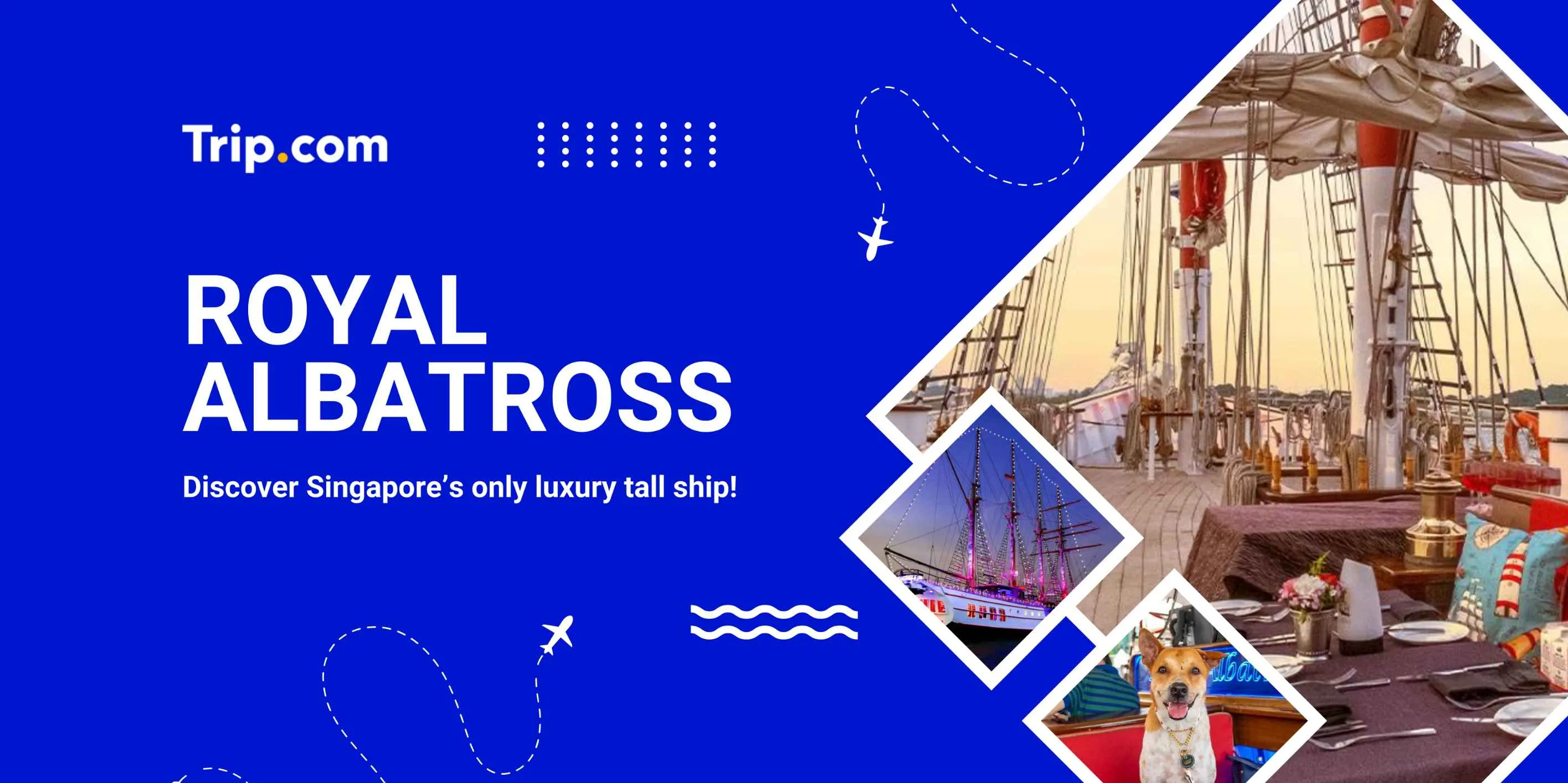 Royal Albatross Tickets