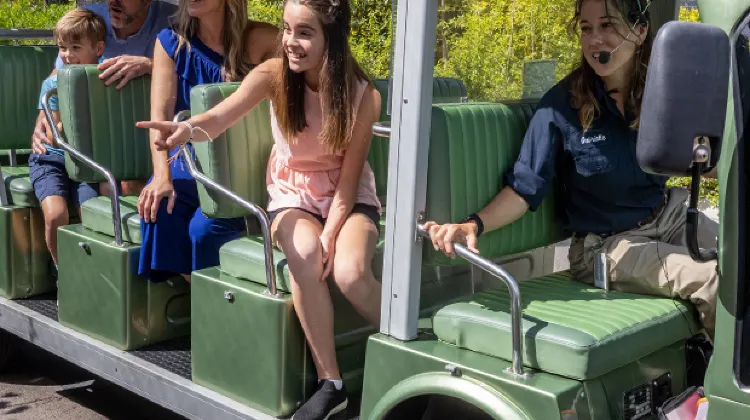 Things to do at San Diego Zoo