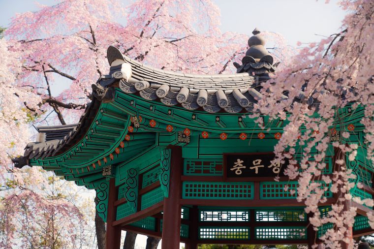 Beste Reisezeit Südkorea: Wetter, Feste und Aktivitäten